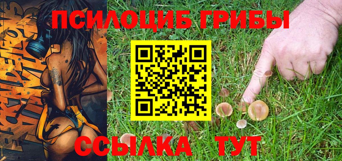 Псилоцибиновые грибы Psilocybe  Вход с VPN  Псилоцибиновые грибы ЛСД  Михайловка 